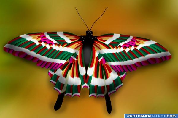 Colorful butterfly....